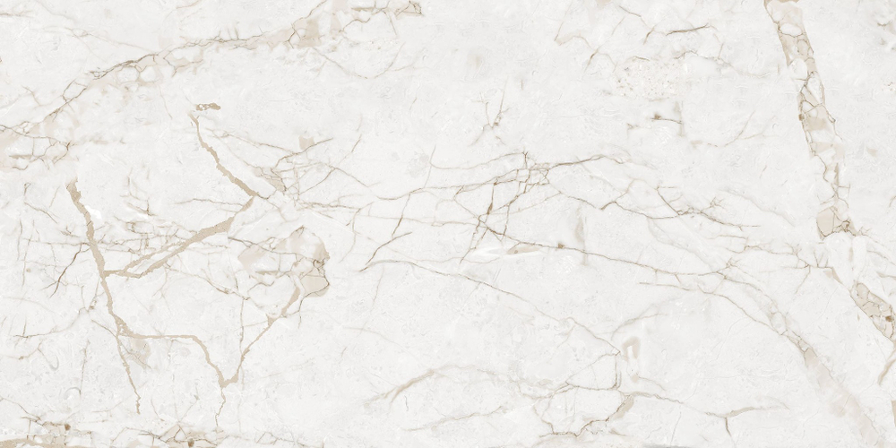 NT Ceramic Marmo Impero Grey Carving 60x120