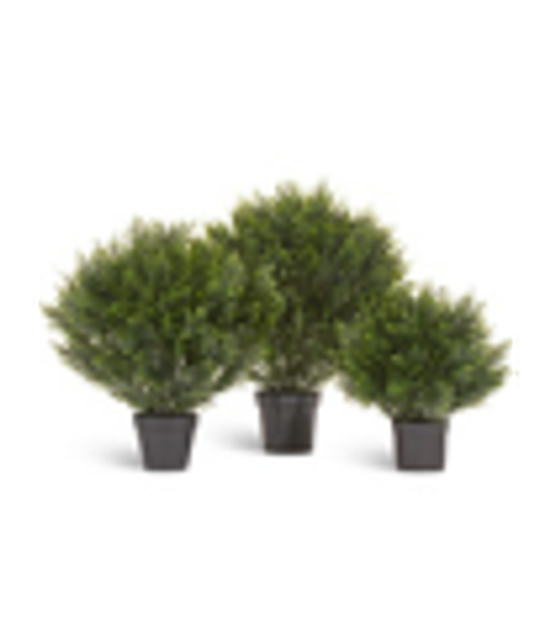 Туя уличная Брабант пушистая шаровидная в-80 см, д-70 см 1/4 10.0224074/2N