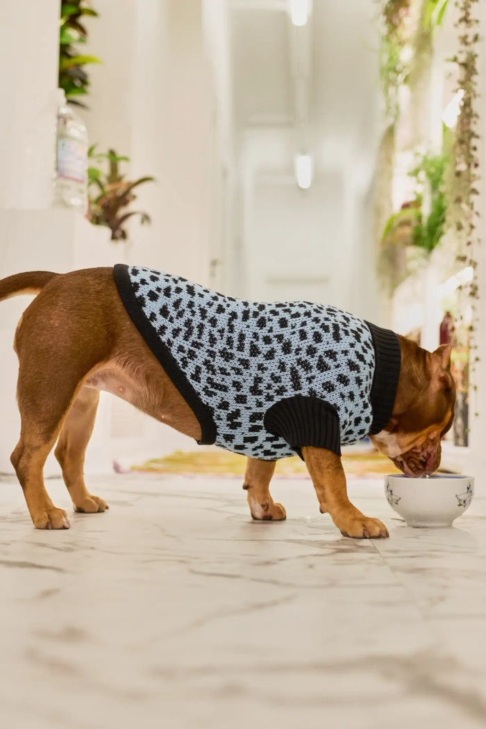 Для собачки