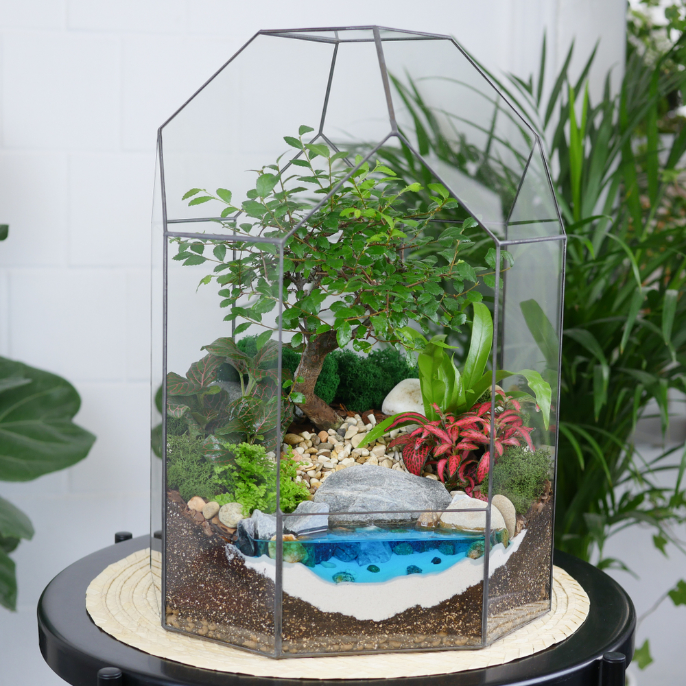 Готовый флорариум бонсай Японский вяз Бонсариум XL с озером