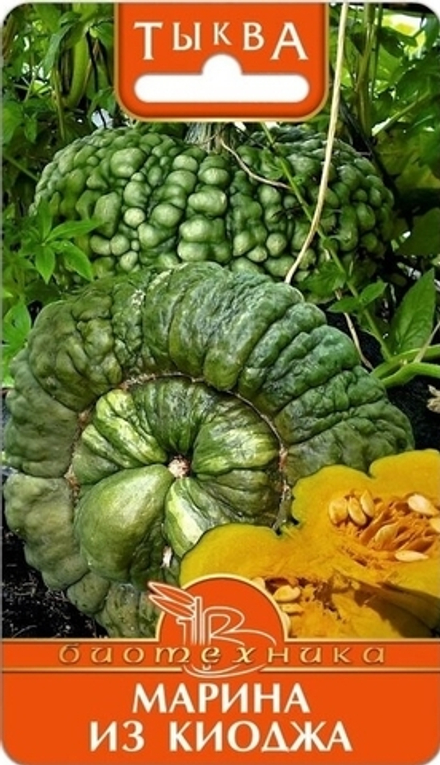 Тыква Марина из Киоджа