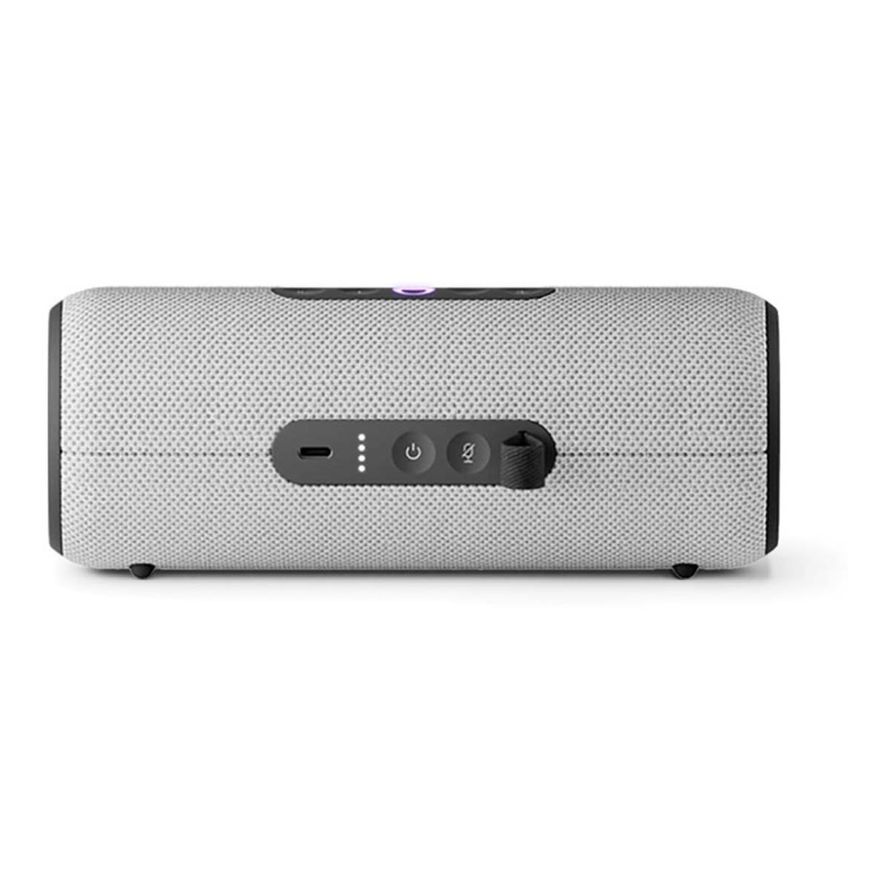 Яндекс.Станция Стрит Gray, серый