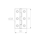 Петля карточная универсальная LM/IN30x50x1U YZN желтый цинк (2 шт)