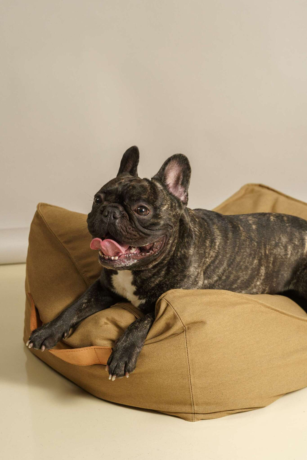 Лежанка "Пони-трамплини" Охра