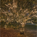 Гирлянда для улицы «Мерцание» 20м 240 ламп LED чёрный провод,1 реж.,IP-54, Теплый белый (возможность соединения)