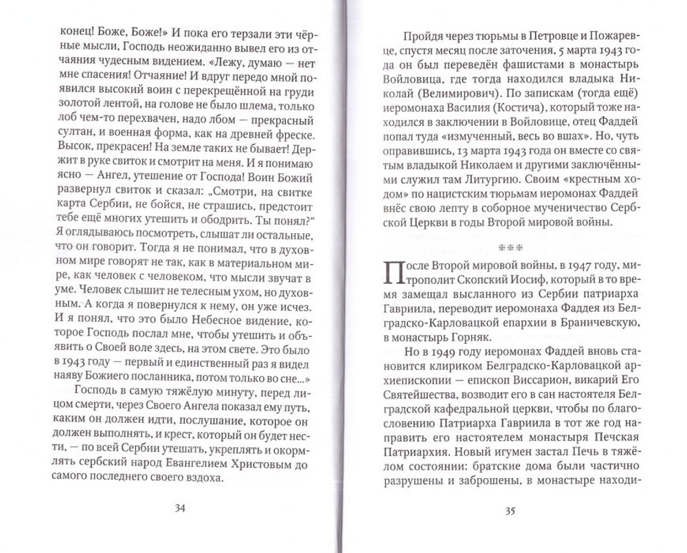 Мир и радость в Духе Святом. Старец Фаддей Витовницкий