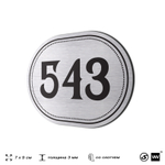 Номерок на дверь квартиры 543, для кабинета, офиса, шильдик 9 х 7 см, серебристый, Айдентика Технолоджи