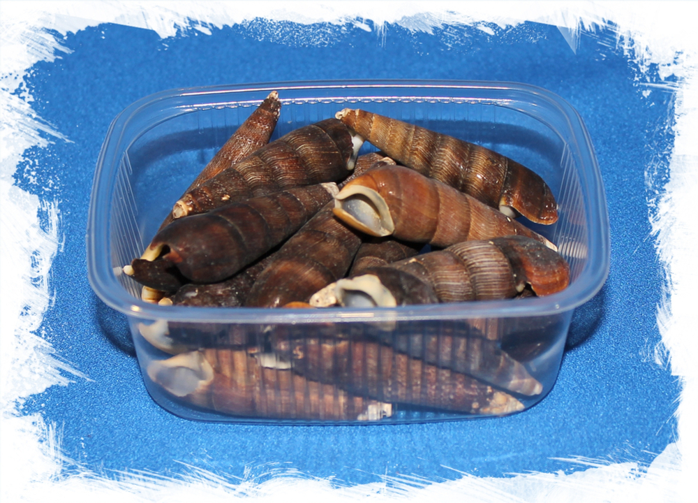 Черная Буллия, 4-6см, 100гр, 15шт