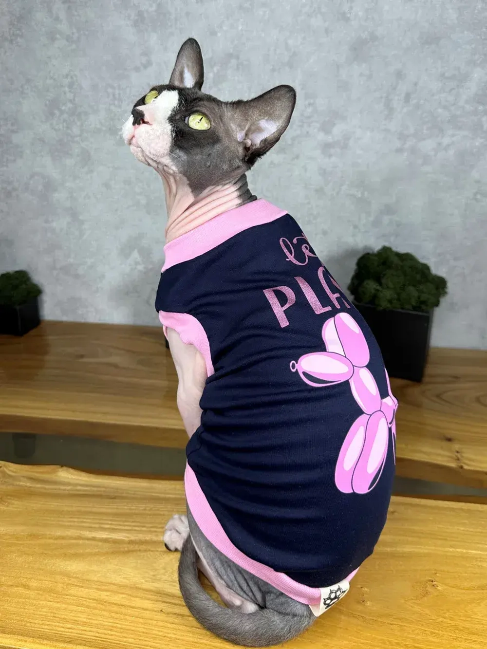 Одежда для кошек сфинкс и собак