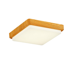 Светильник потолочный Evoluce Taddio SLE200202-01