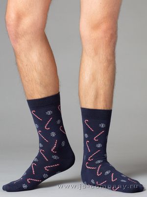 Мужские носки Style 505 Omsa for Men