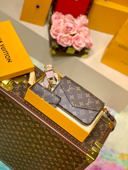 Louis Vuitton Felicie Strap & Go