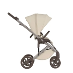 Коляска 2 в 1 ANEX Eli Milky