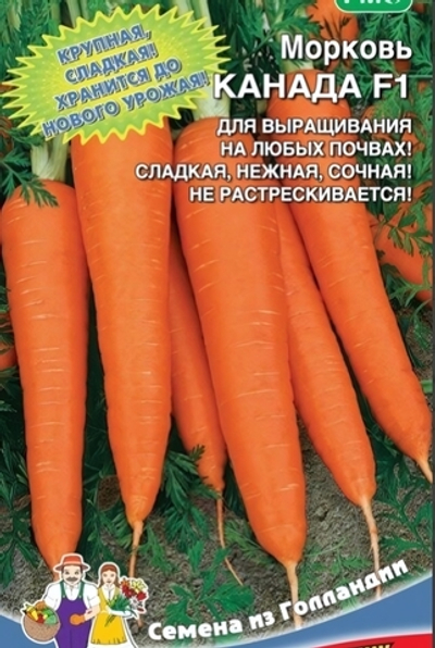 Семена Морковь Канада F1 (УД) Е/П