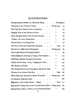 The minds and manners of wild animals. a book of personal observations | Hornaday William Temple