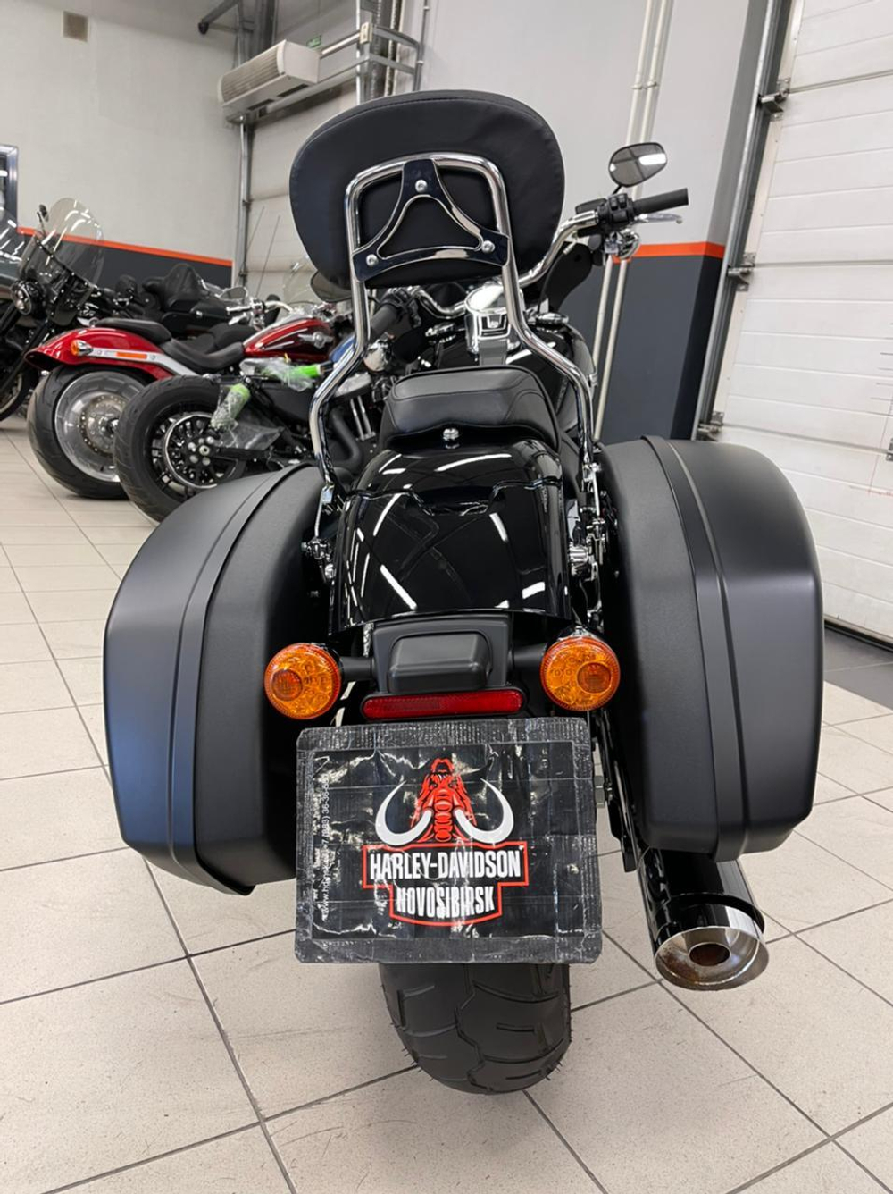 Harley-Davidson Sport Glide (FLSB) 2019