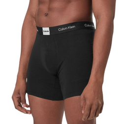 Боксерки теннисные Calvin Klein Icon Logo Graphic Brief 3P - black