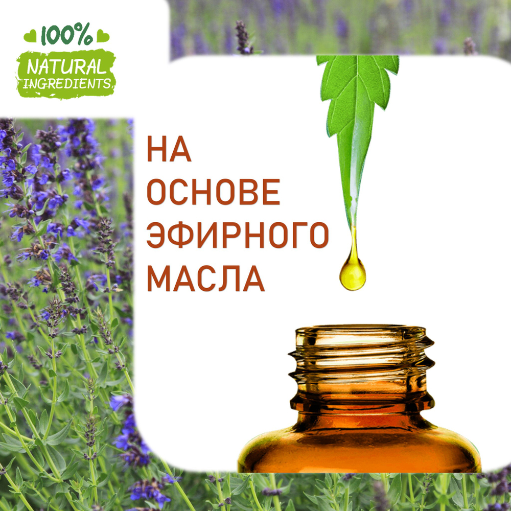 Иссоп, отдушка для свечей и мыла