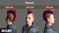 SCUM - Female Hair Pack (для ПК, цифровой код доступа)