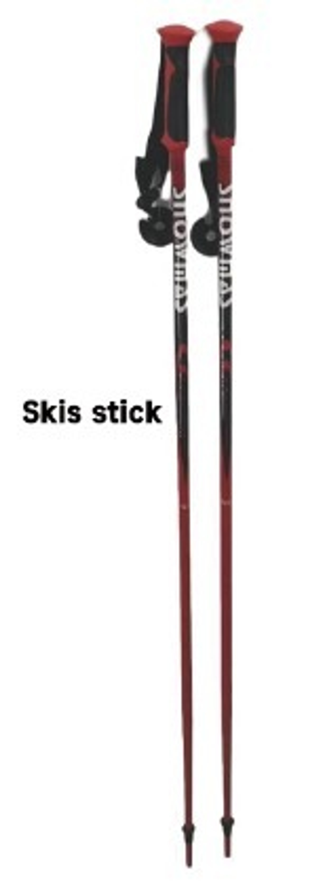 Горнолыжные палки StepSnow Poles