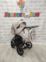 Коляска модульная Adamex Amelia Am243