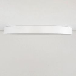 Citilux Купер CL724105G0 LED RGB Светильник с пультом Белый