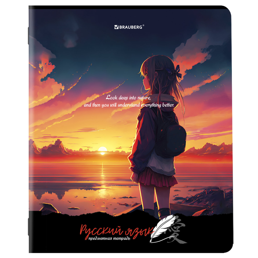 Тетради предметные комплект 12 ПРЕДМЕТОВ 48 л. матовая ламинация BRAUBERG "ANIME GIRLS" (2 штуки в упаковке)