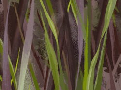 Коллекция ALIVE