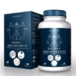 Холин + Мио-инозитол Evasion