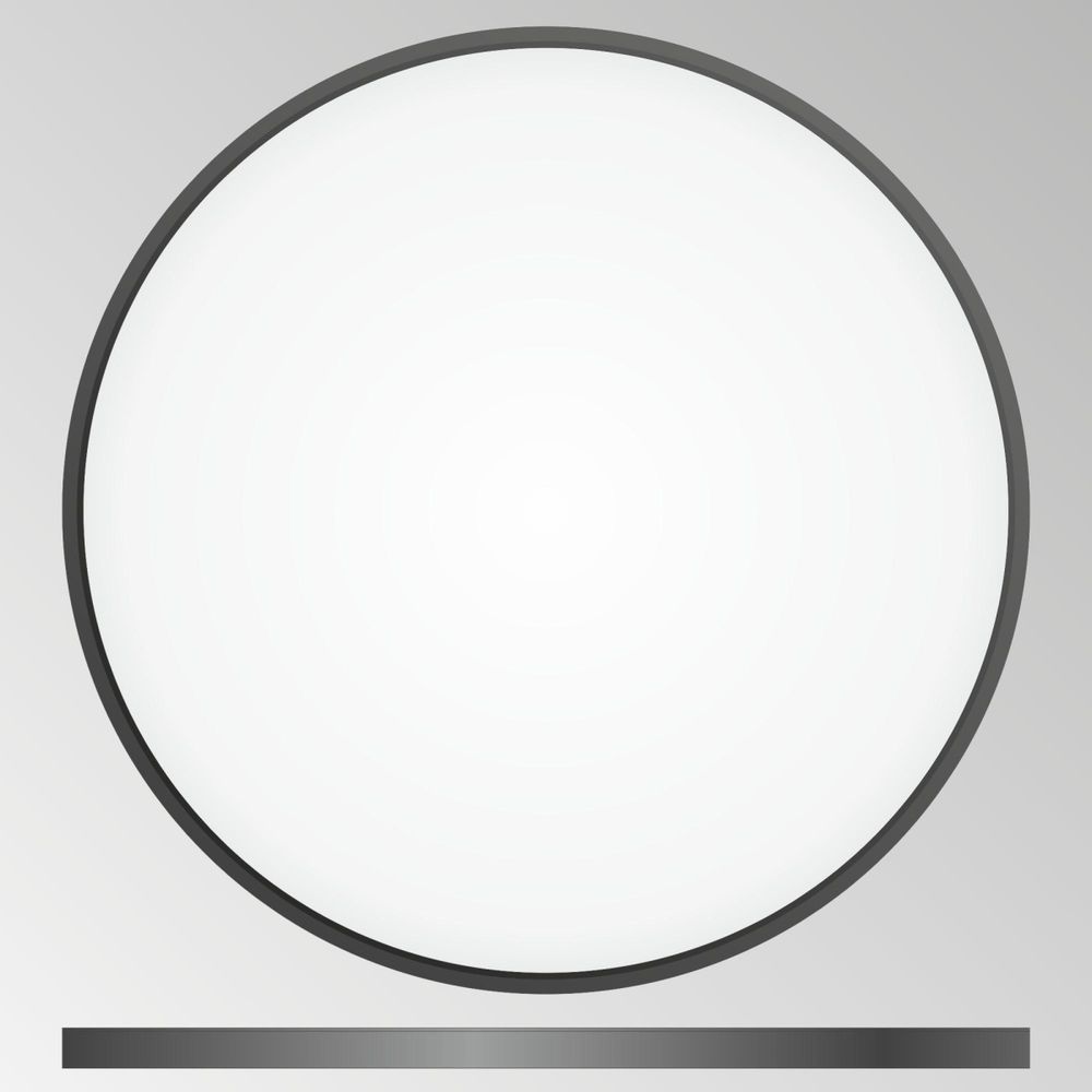 Citilux Бейсик CL738501V Светильник накладной Чёрный