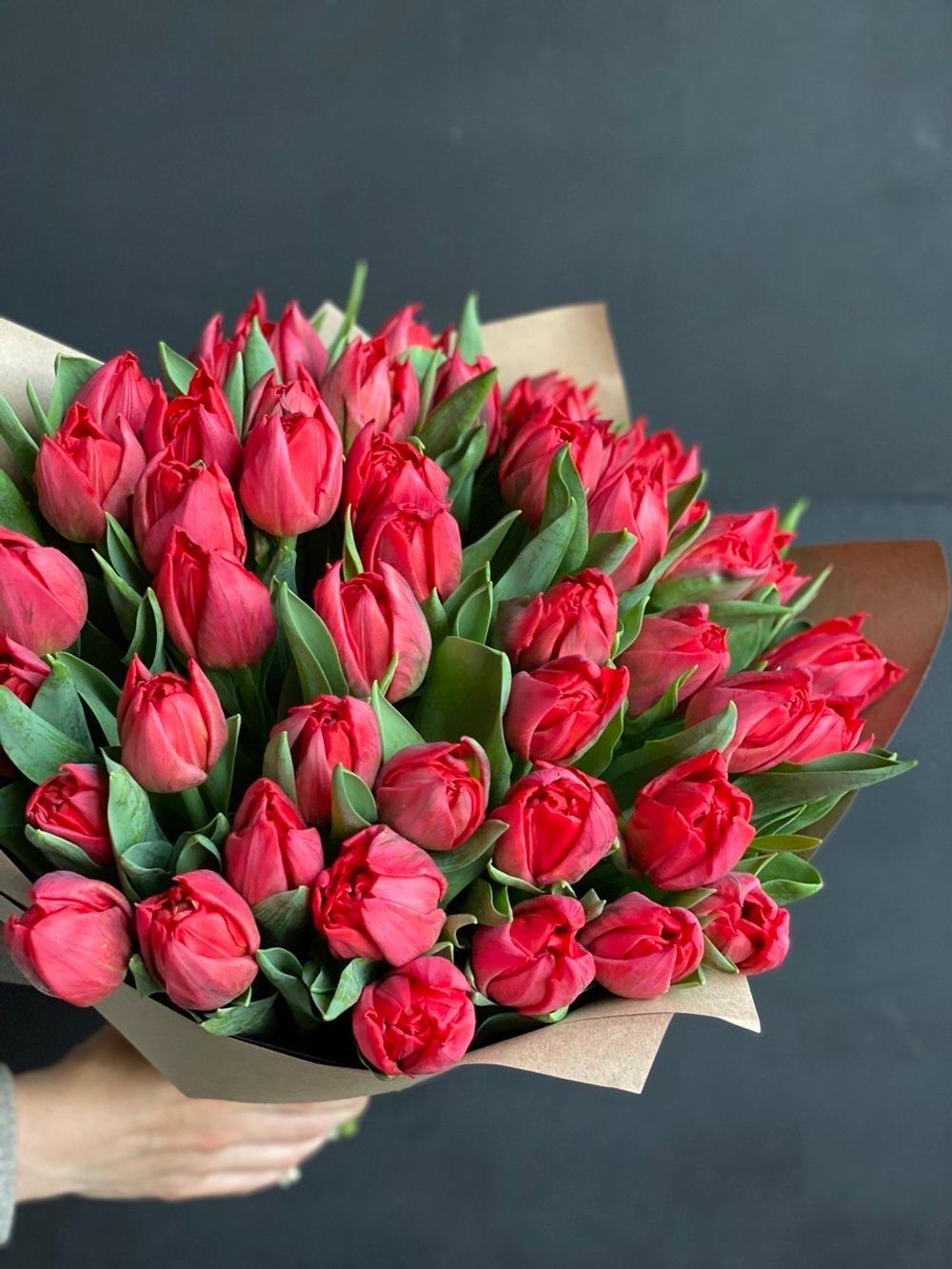 Тюльпаны красные пионовидные