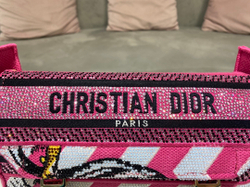 Christian Dior Diorcamp Bag 23 cm