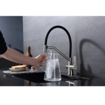 Смеситель для кухни с подключением фильтра Raglo R80.62.05, сатин