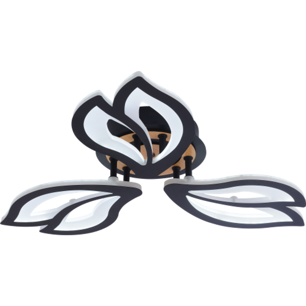 Светильник потолочный светодиодный Rivoli Lana 6195-703 LED 3000-6250К 60 Вт с пультом | Rivoli