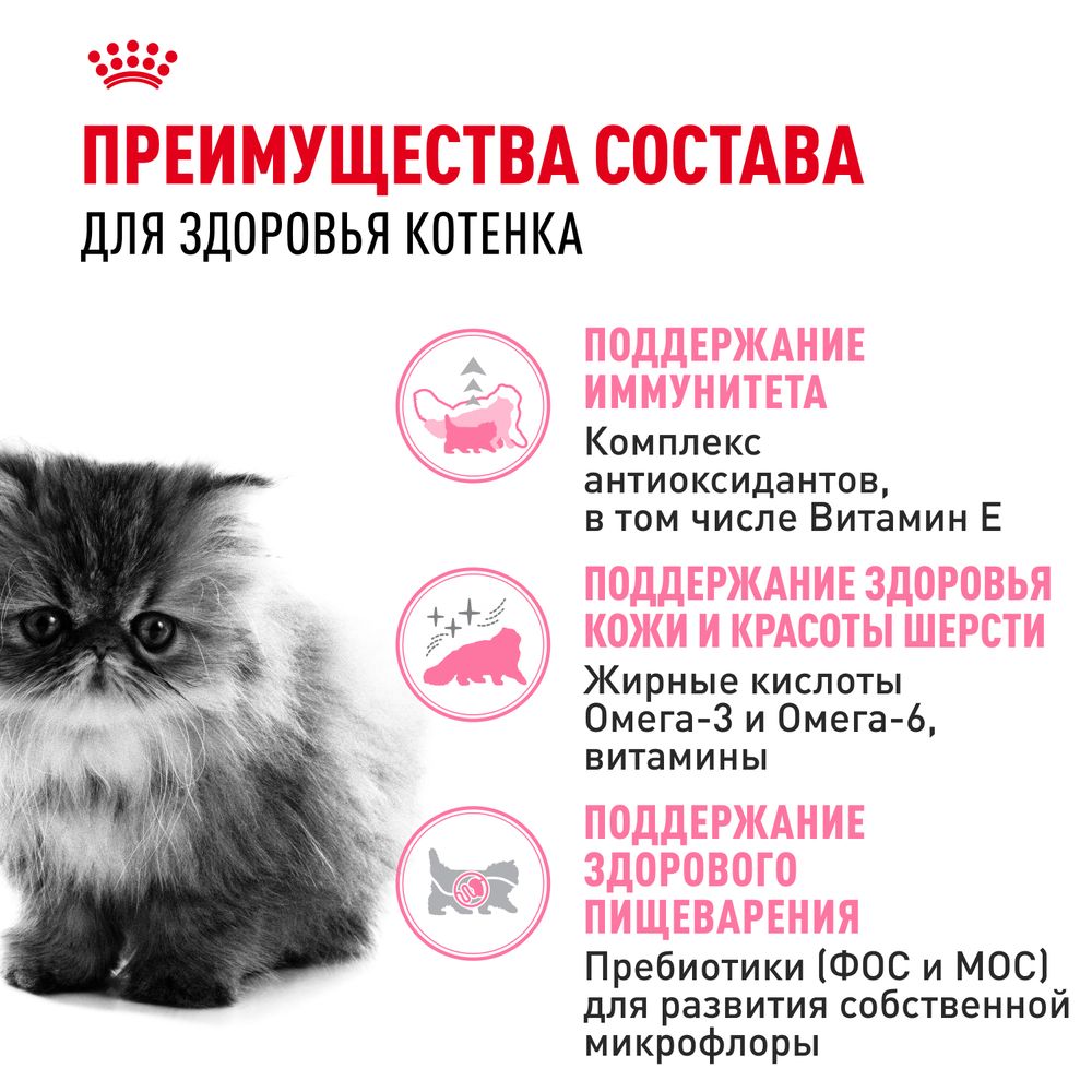 Сухой корм Royal Canin Persian Kitten для персидских котят (до 12 месяцев)