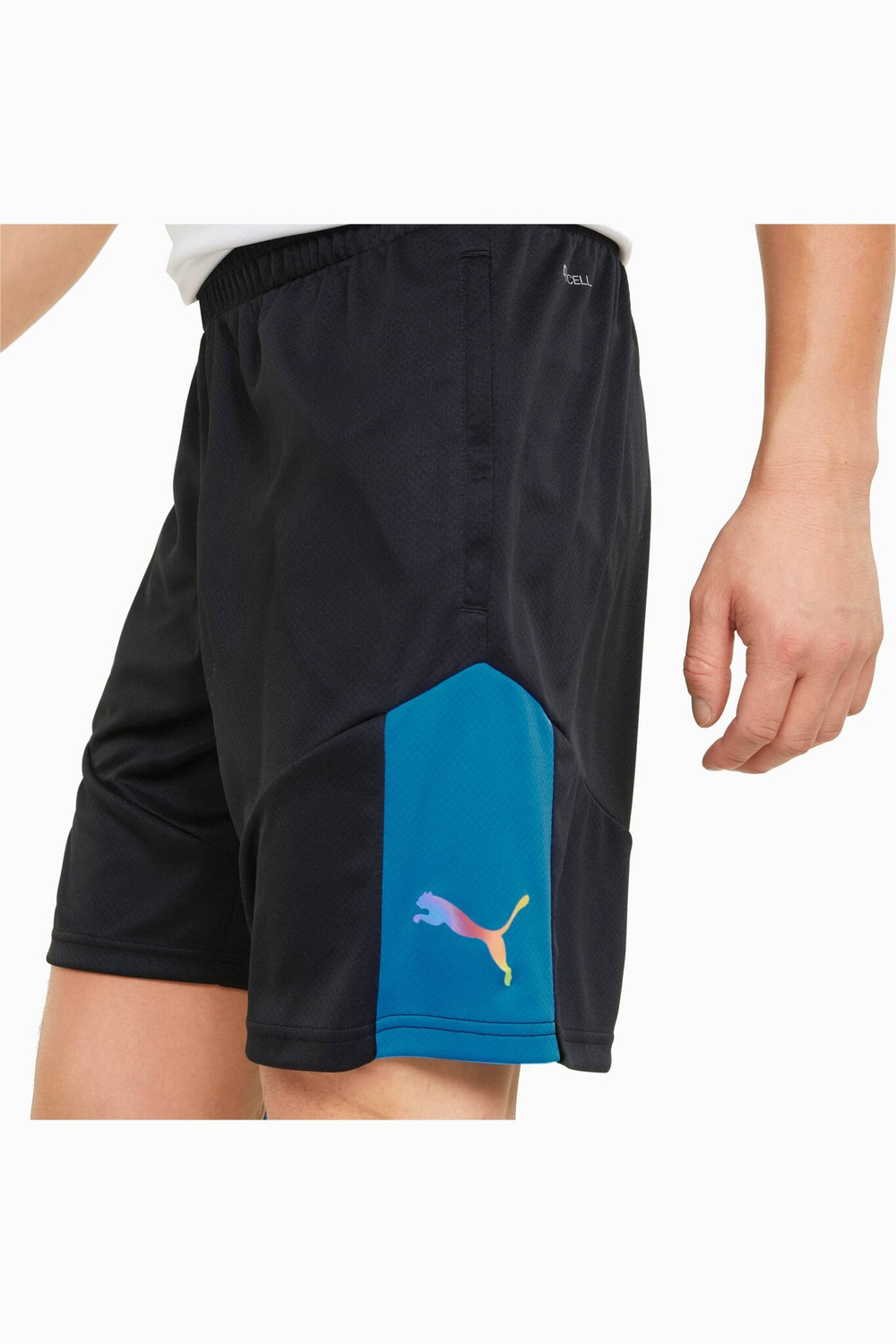 Шорты Puma individualFINAL Training