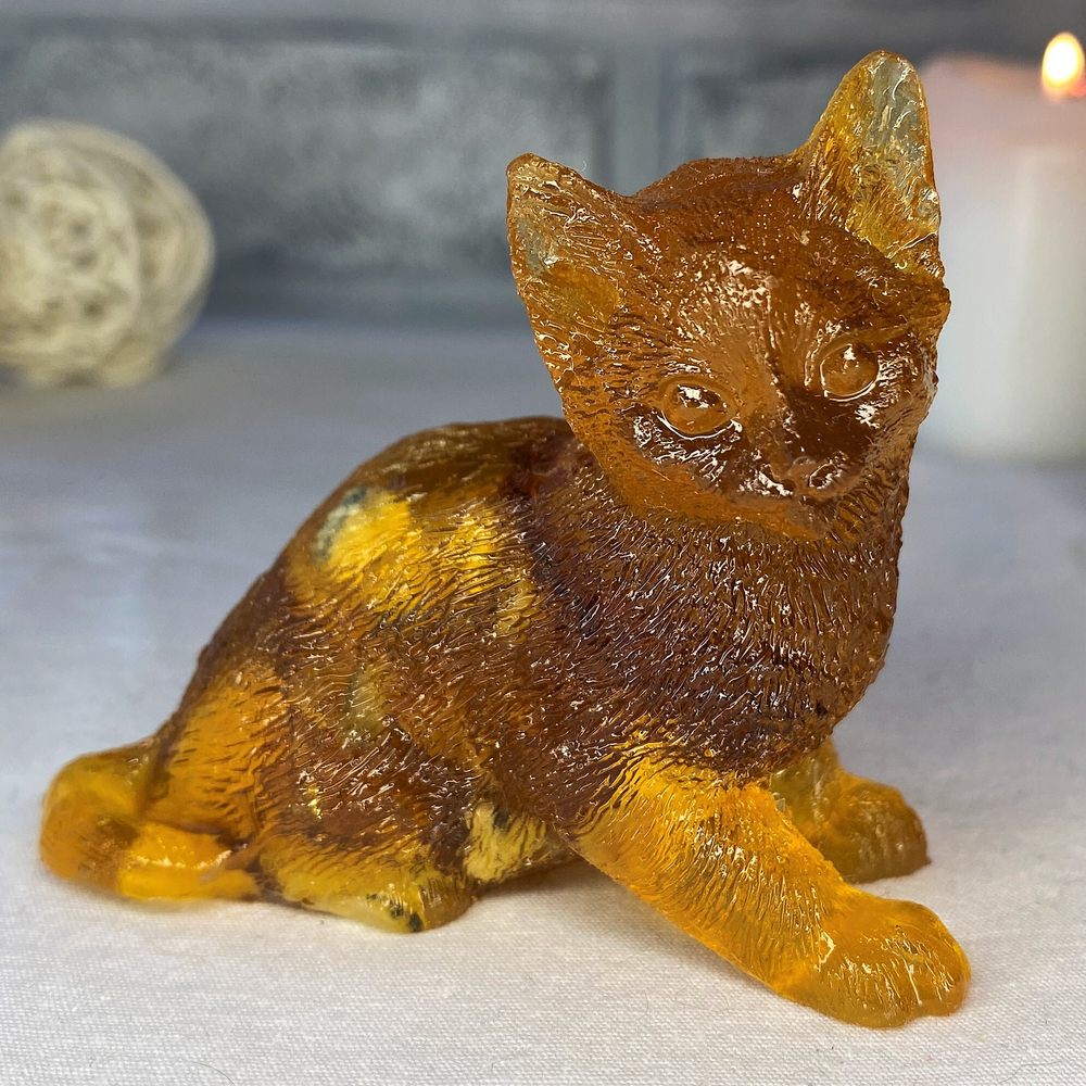 Кот приподнялся