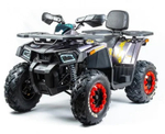 Квадроцикл MOTOLAND 200 WILD TRACK X PRO (2022)