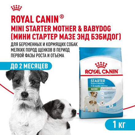 Royal Canin Mini Starter Мини Стартер Корм сухой для собак мелких пород в конце беременности в период лактации для щенков до 2-х месяцев 1кг