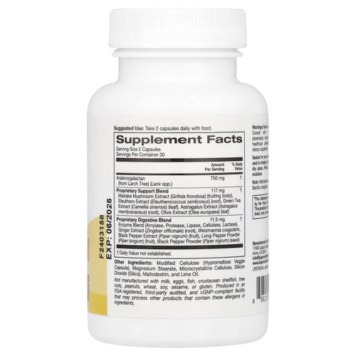 Super Nutrition, добавка для поддержки иммунитета с арабиногалактаном, экстрактами гриба-барана, элеутерококка и зелёного чая, 60 вегетарианских капсул