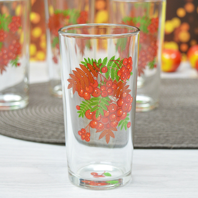 Набор стаканов 6шт 230мл "Рябинушка"