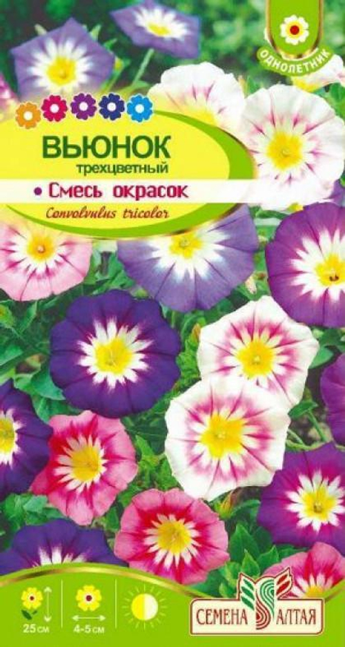 семена цветов вьюнок трехцветный. смесь однолетник вьюнок. семена вьюнка трехцветного. семена вьюнка трехцветного. цветок конвольвулюс калипсо.