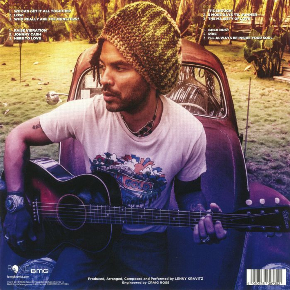 Lenny Kravitz / Raise Vibration (2LP)