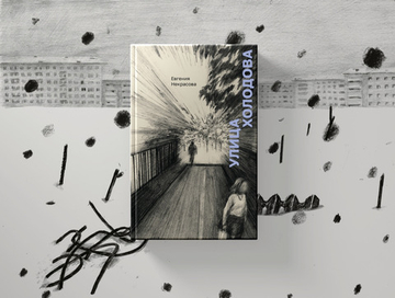 Улица Холодова