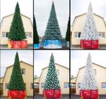 Светодинамическая елка ствольная: с встроенной гирляндой - "Альпийская" высота от 4 до 22 м