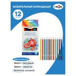 Карандаши акварельные 12 цв. Гамма Классические + кисть