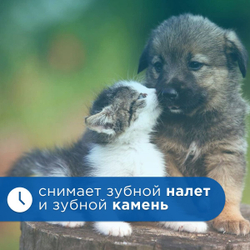 Жидкость для полости рта для собак и кошек Cliny с ионами серебра и пантенолом 100мл