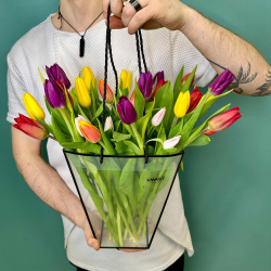 Охапка тюльпанов в прозрачной сумке 💐
