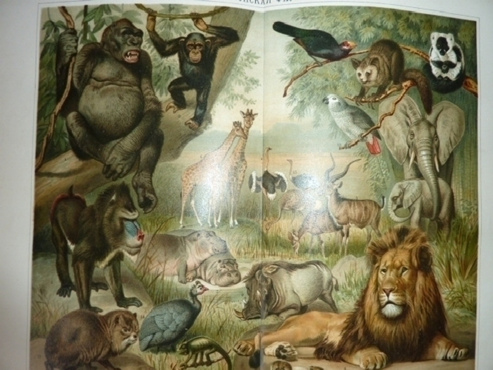 "Большая Энциклопедия. Словарь общедоступных сведений по всем отраслям знания". Под редакцией С.Н. Южакова. 1909 г. - редкая книга