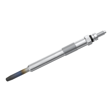 BOSCH - 0250202048